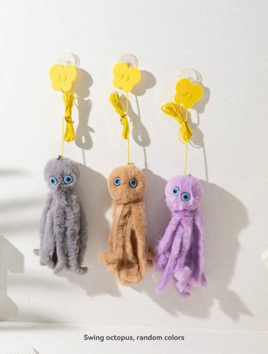 jouer attrape appât pour chat
