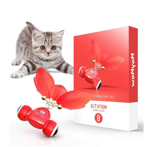 jouer pour chat voiturette qui bouge