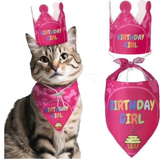 tenue d'anniversaire pour chat