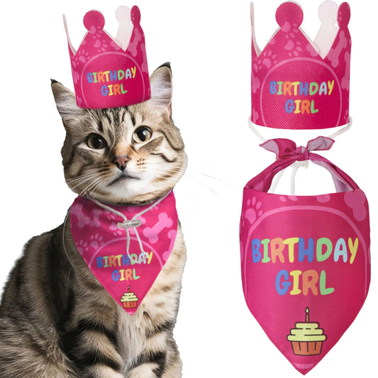 tenue d'anniversaire pour chat